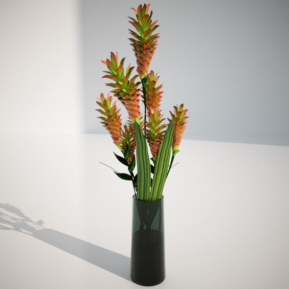 Ginger in vase