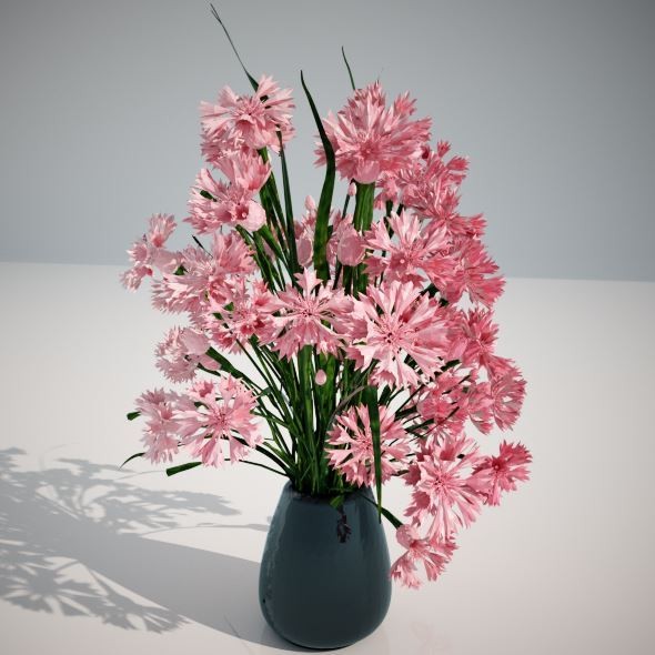 Vase and flowers 2