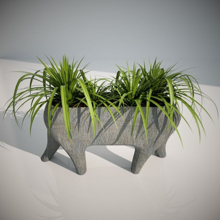 Vase for plant